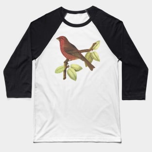 Cute birds #1 Baseball T-Shirt